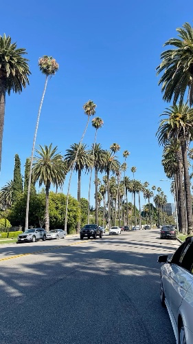 Los Ángeles → L.A. ✈️🌴