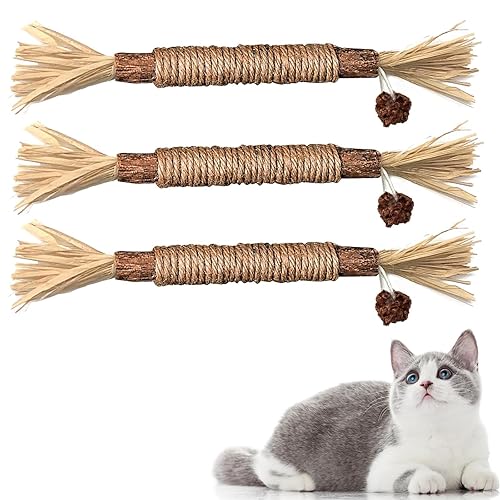 Catnip Sticks for the kitties!