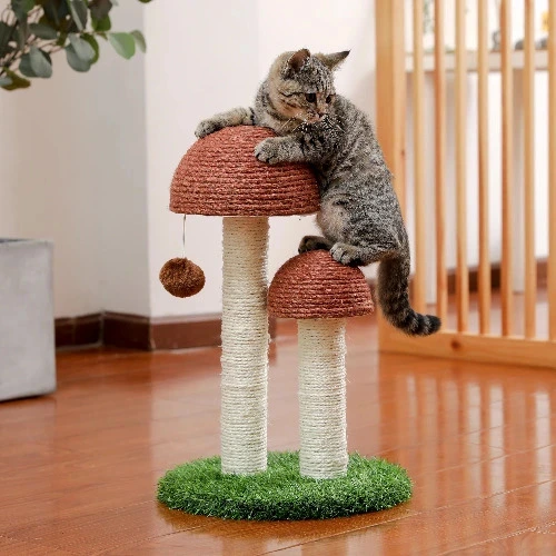 Cute Cat Scratching Post