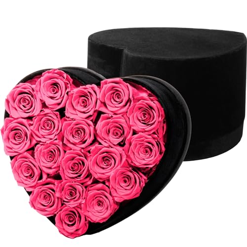 Tinideya 19 Pieces Real Roses in Velvet Heart Shape Box Long Lasting Eternal Forever Flowers for Her Birthday Anniversary Mothers Day Valentines Day Christmas(Rose Red) - Rose Red