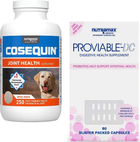 Bundle: Cosequin + Nutramax Proviable-DC By Nutramax
