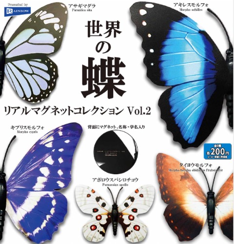 Butterflies of the world Magnet 2 Gacha Series - Preorder