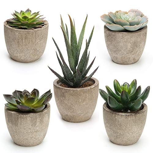Artificial Succulent Plants 5 Pack, CoiTek Decorative Faux Succulent Potted Fake Cactus Grass Cacti Plants Pots (5 Pack) - 5 pack