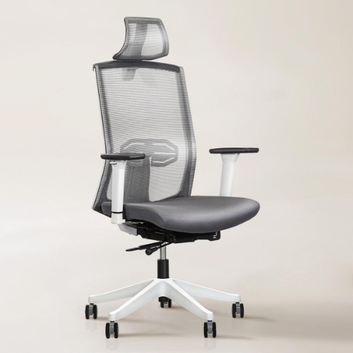 Karma Ergonomic Chair - White