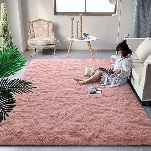 DweIke Super Soft Shaggy Rugs Fluffy Carpets, 4x6 ft, Pink Area Rug for Living Room Bedroom Girls Kids Room Nursery Home Decor, Non-Slip Plush Indoor Floor Bedside Rug, 4x6 Feet Pink - 4 ft x 6 ft - Pink
