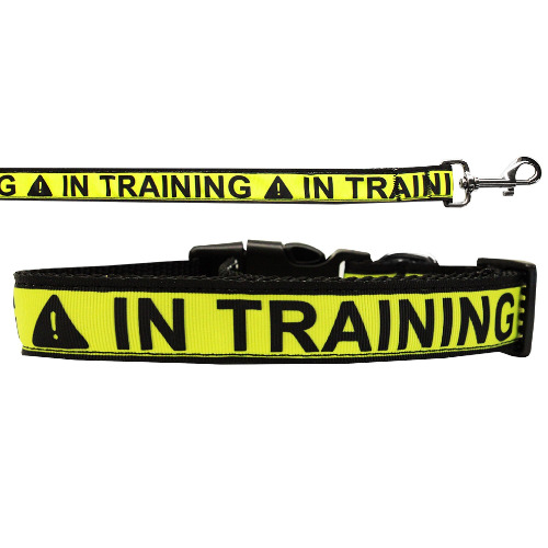 Pet Dog & Cat Nylon Collar or Leash, "In Training" - XL Collar
