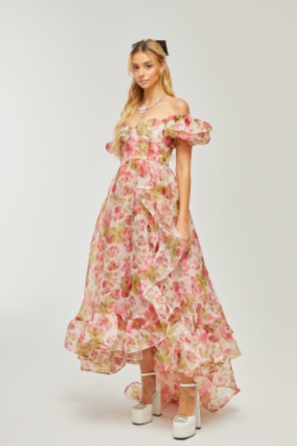 Geneviève fruit-print ruffled maxi dress | M / Pink