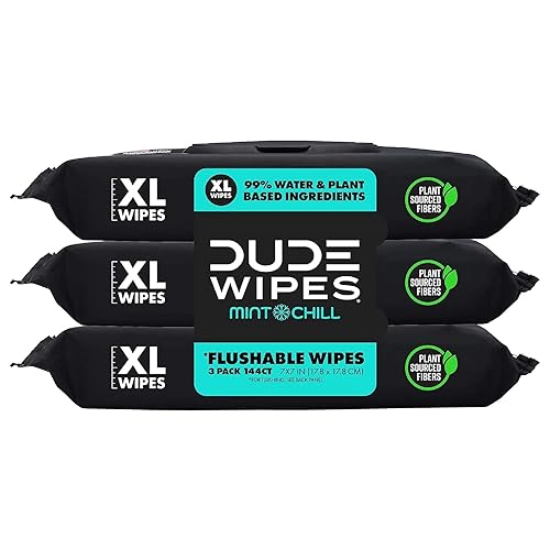 DUDE Wipes Flushable Wet Wipes Dispenser, Mint Chill, 48 Count (Pack of 3) Scented Wet Wipes with Vitamin-E, Aloe, Eucalyptus & Tea Tree Oils for at-Home Use, Septic and Sewer Safe
