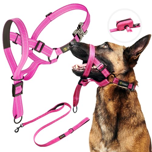 Zevey Dog Headcollar with Leash and Safety Strap Stops Heavy Pulling On The Leash Padded Reflective Head Halter for Small Medium Large Dogs Adjustable Head Harness for Training and Walking (M, Pink) - Medium - Pink