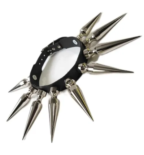 Large spiked collar