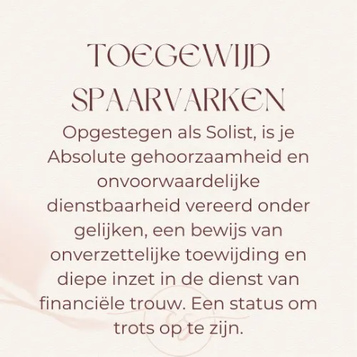 Toegewijd Spaarvarken