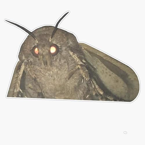 Moth Meme Sticker Vinyl Bumper Sticker Decal Waterproof 5"
