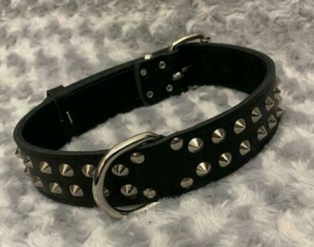REAL LEATHER- DOG COLLAR REAL LEATHER,1"1/2 WIDE  /  | eBay
