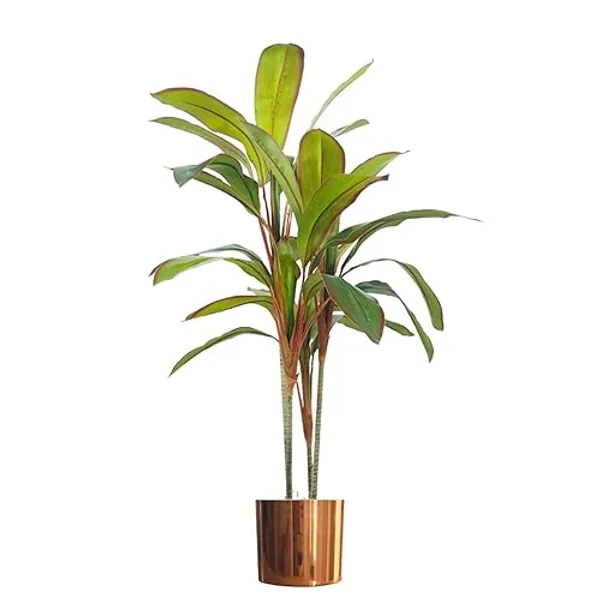 Leaf Palm Künstliche Palmpflanze mit Blättern, Dracaena Kupferblatt, 100 cm, Kunststoff - 100 cm - Dracaena Kupferblatt