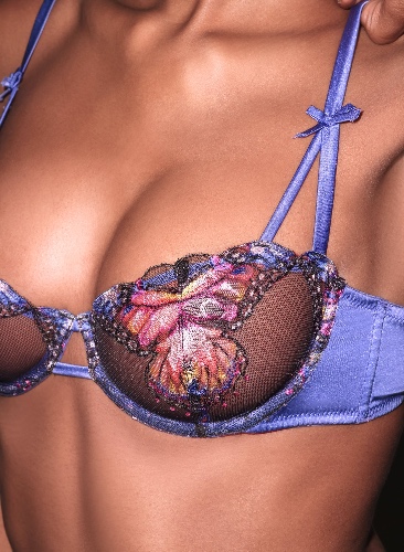 Butterfly Embroidery Balconette Bra | periwinkle / 34c