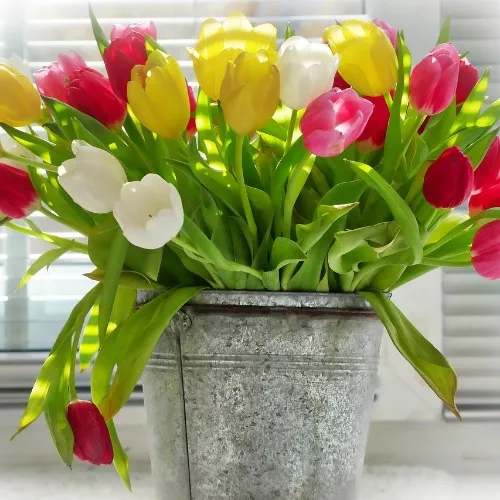 Bucket of Flowers