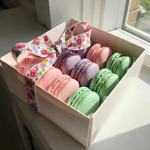 Big Box of Macarons