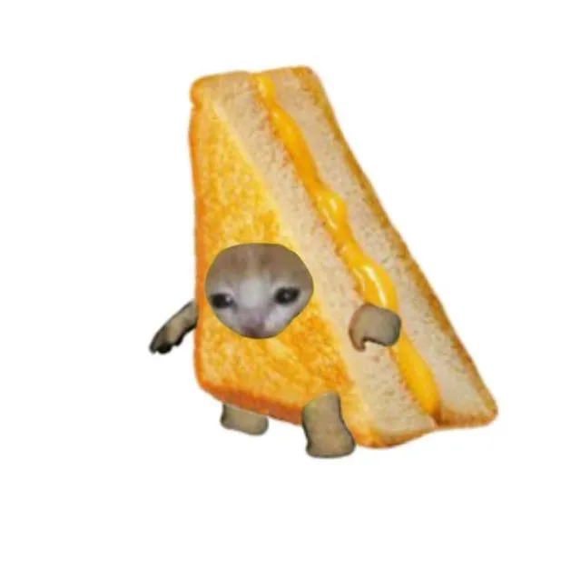 Grilled Cheese Cat