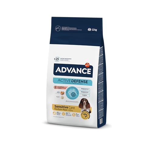 Advance Medium Maxi Sensitive Salmon Kibble 12KG