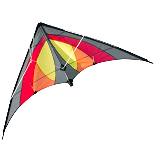 Two Rope Kite