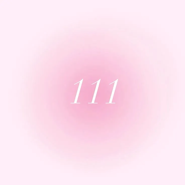 ˚₊‧꒰ა 111 ໒꒱ ‧₊˚