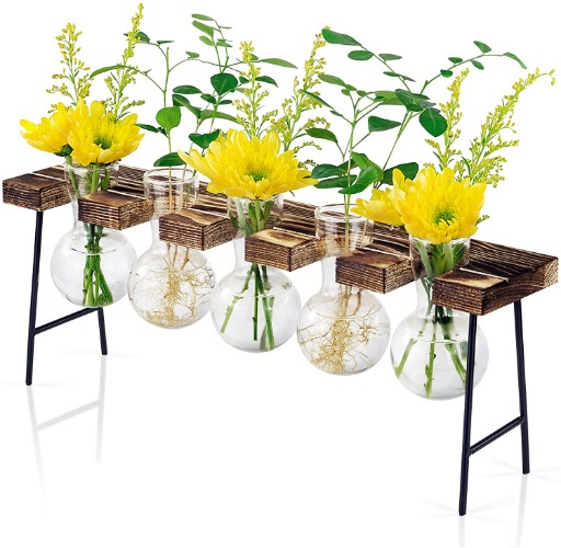 Tabletop Plant Propagation Station - Five Bulb Vases