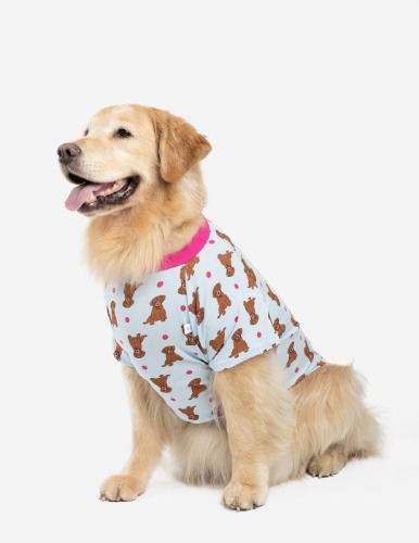 Big Dog Puppy Print Pajamas - puppy-blue-pink / Medium