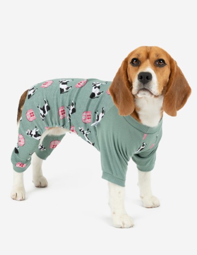 Dog Blue Cow Pajamas - cow-blue / Medium