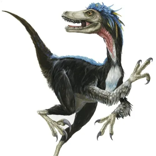 Velociraptor