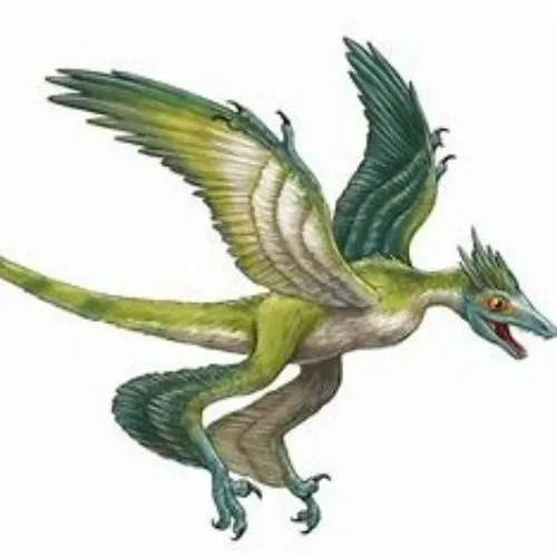 Microraptor