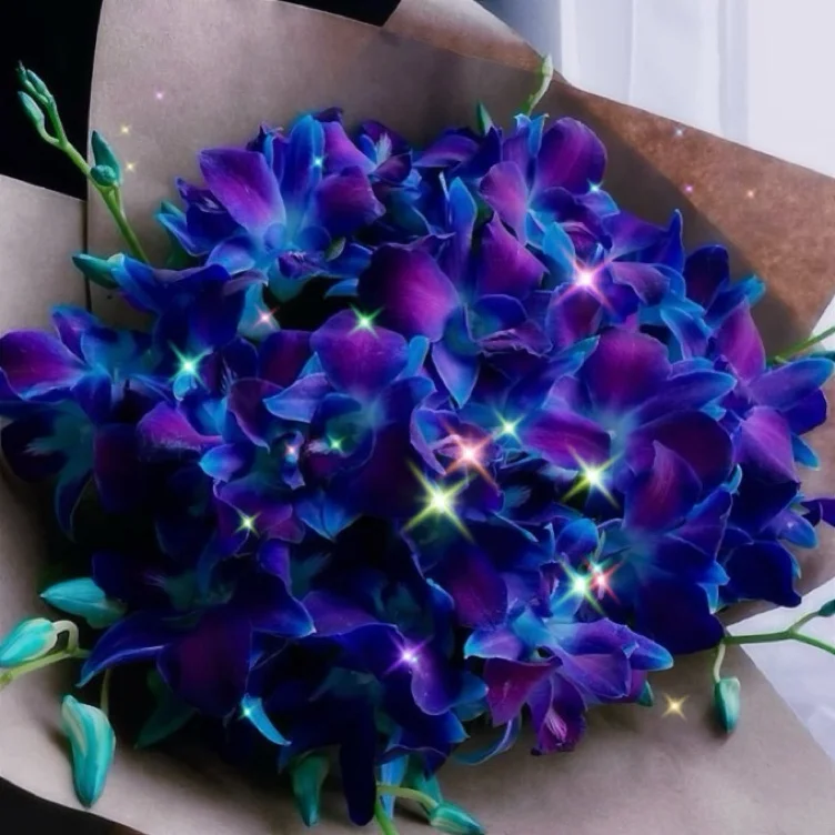Flowers (444 🪽)