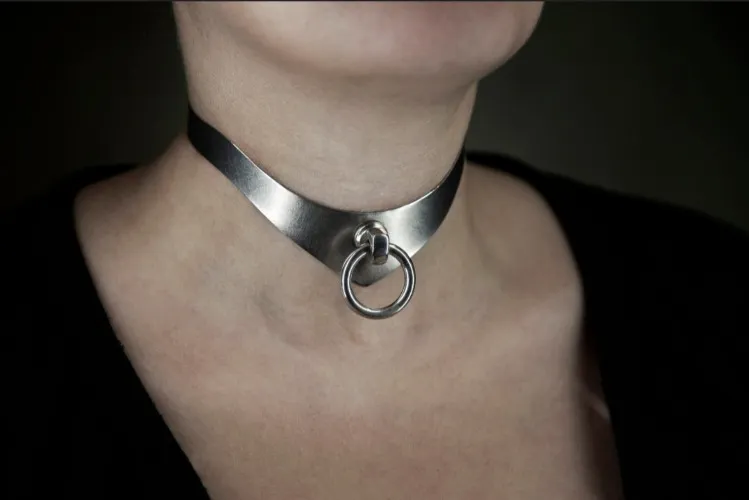 stainless steel collar