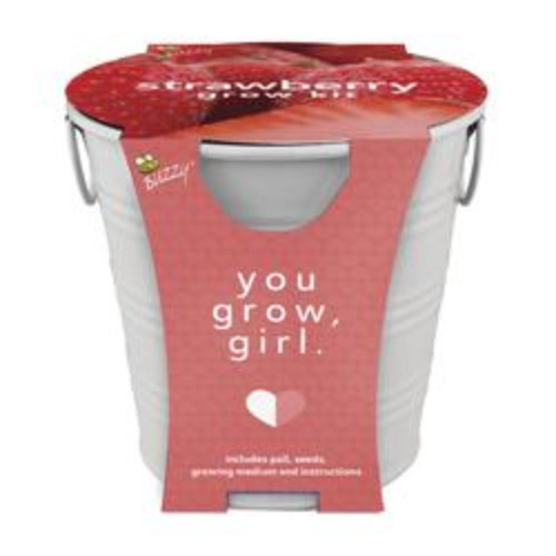 Buzzy&reg; Strawberry Grow Kit