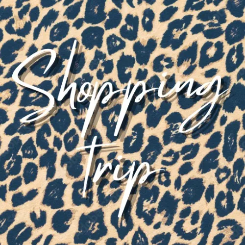 Shopping trip - small