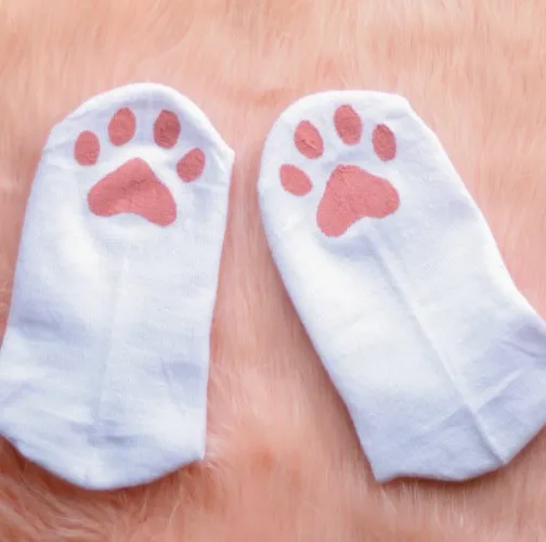Paw socks