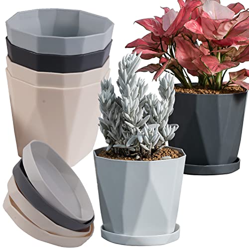 Plant Pots 5-inch (Set of 6)