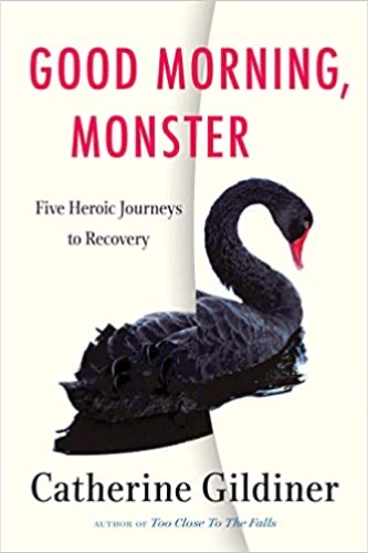 Good Morning, Monster: Five Heroic Journeys to Recovery - Paperback, Deckle Edge