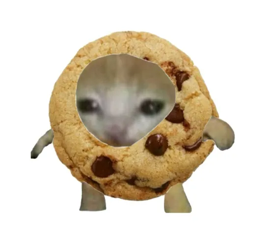 a little chocolate bar or a cookie