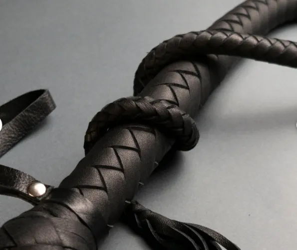 Leather Whip