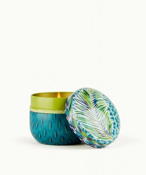 Coriandre Lemongrass