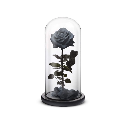Everlasting Rose (Black) - Large