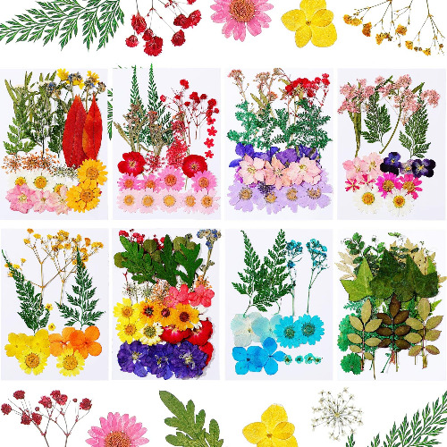 Nuanchu 200 Pieces Real Dried Pressed Flowers Resin Flowers for Resin Mold Real Daisy Dried Flower Leaves for Scrapbooking DIY Candle Accessories Jewelry Crafts Making