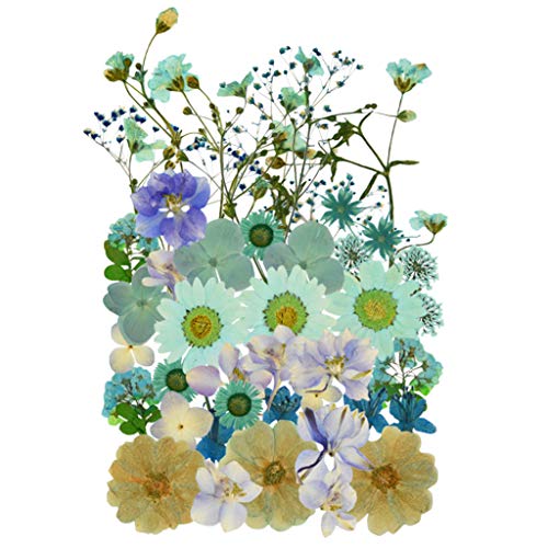 Natural Dried Flowers Mixed Multi-Color Pressed Flower Mini Rose Hydrangea Daisy for Art Craft DIY Resin Nail Art Floral Decors (Light Blue) - Light Blue