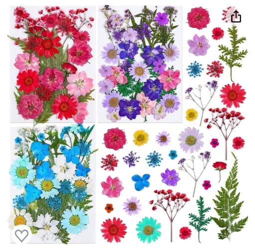 Pressed Dried Flowers