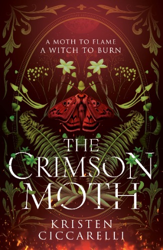 The Crimson Moth: The perfect witch x witch hunter, enemies to lovers, YA romantasy that is a 2024 TikTok favourite: Book 1