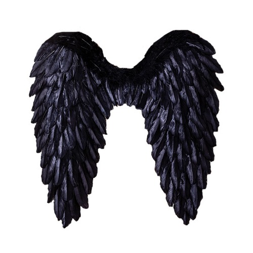 Albedo Wings