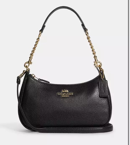 Teri Shoulder Bag | Coach