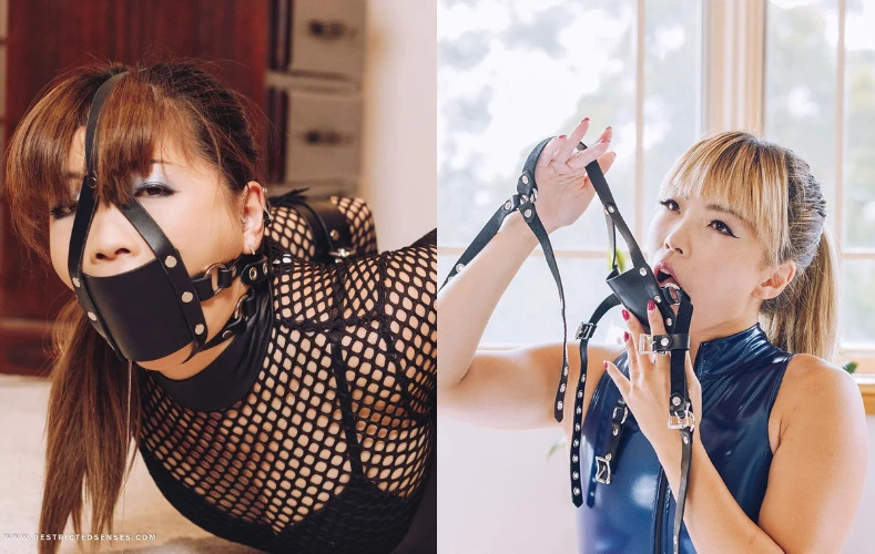 Panel Gag Leather from Restricted Senses