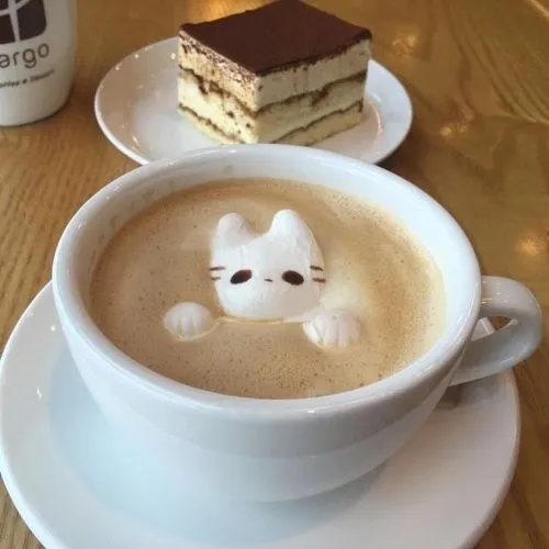 Small coffee ☕︎⋆.˚