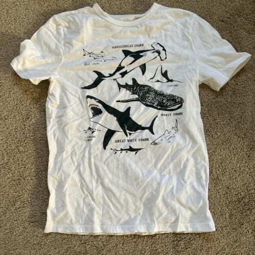 Graphic Tee: GAP sharks